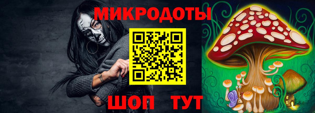 Галлюциногенные грибы Psilocybine cubensis Шадринск