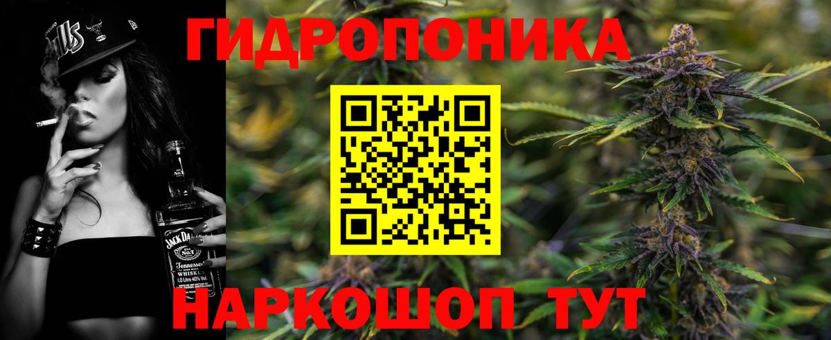 Конопля AK-47  Марихуана THC 21%  Вход с VPN  Шадринск 